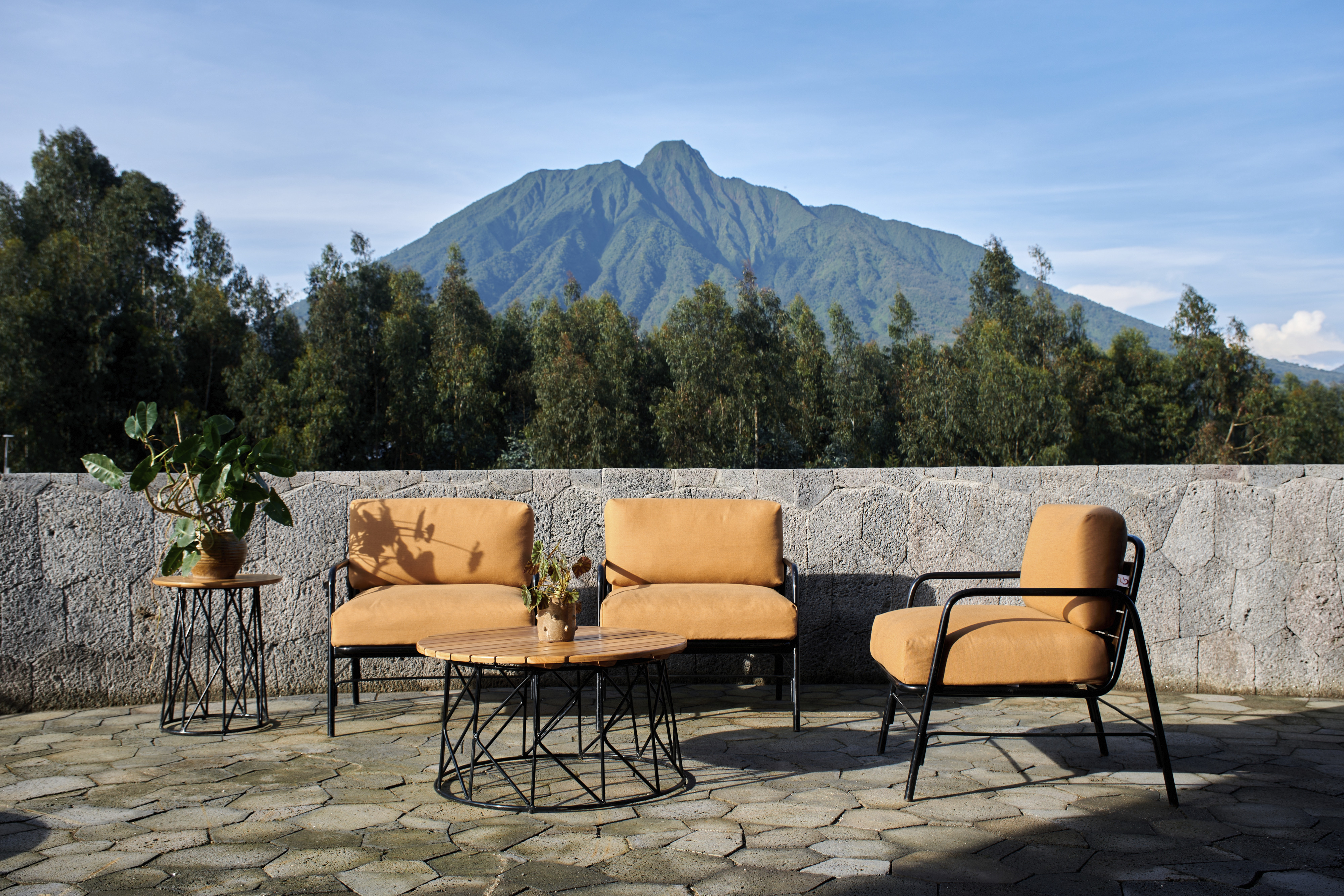Furniture closeup: The Ellen DeGeneres Campus of the Dian Fossey Gorilla Fund