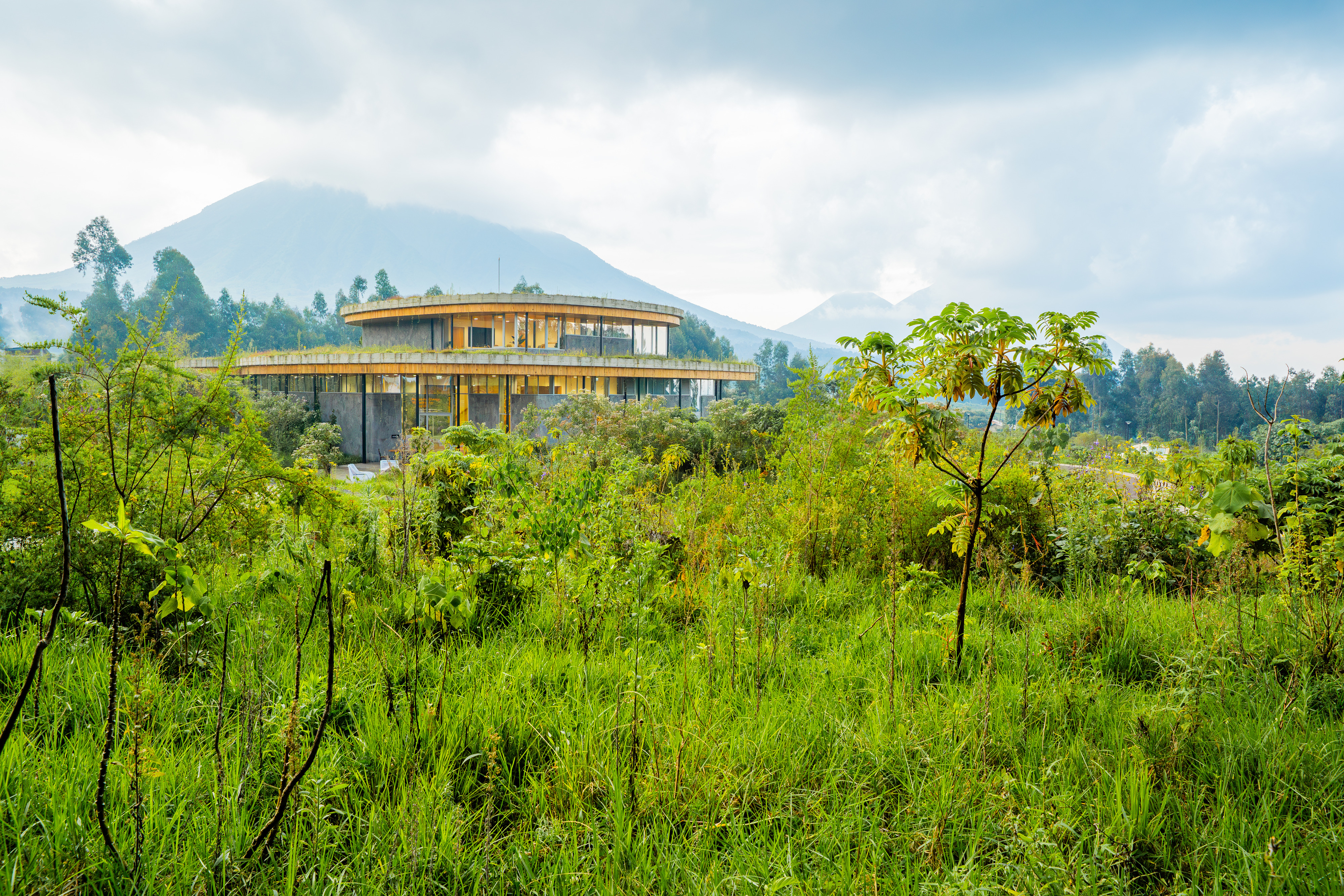 Fossey Fund Campus Landscape