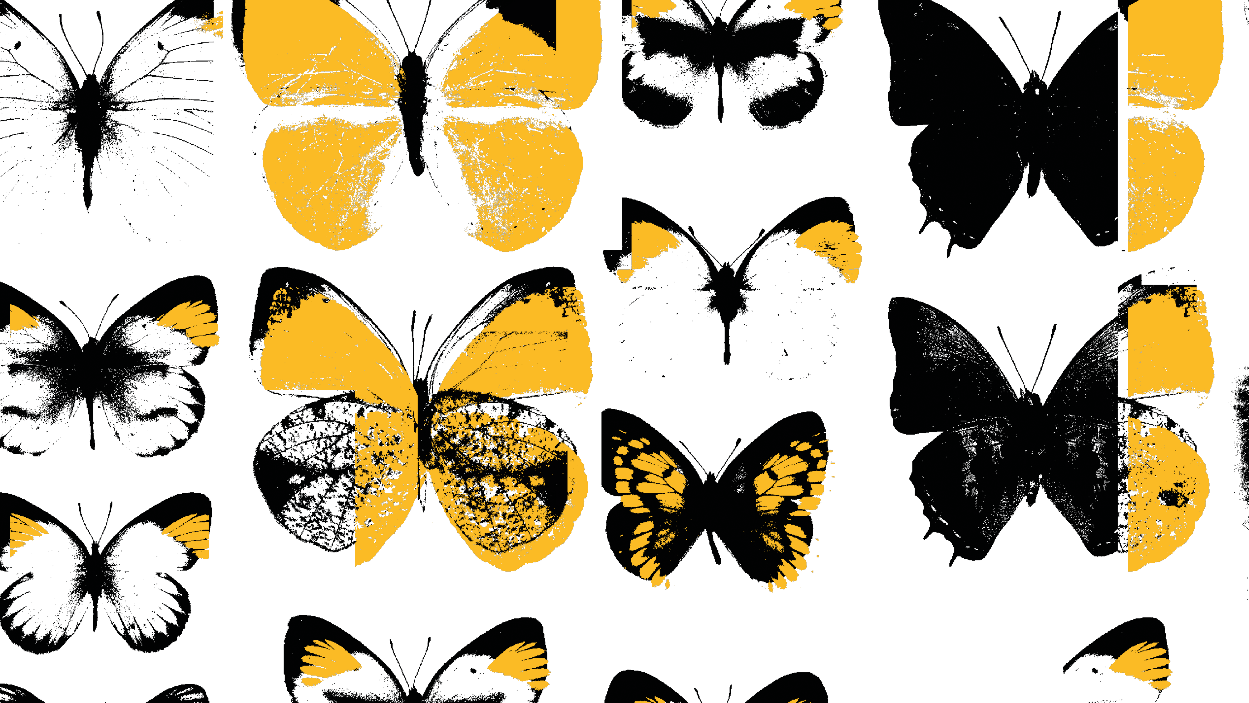 Abundance Butterfly graphic