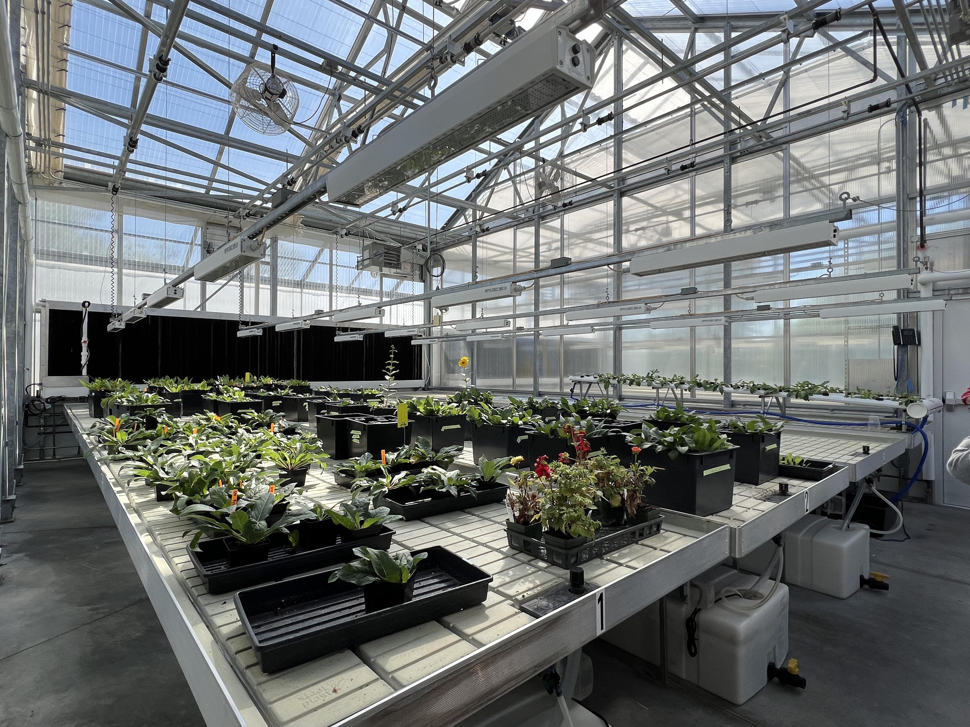 Land Institute