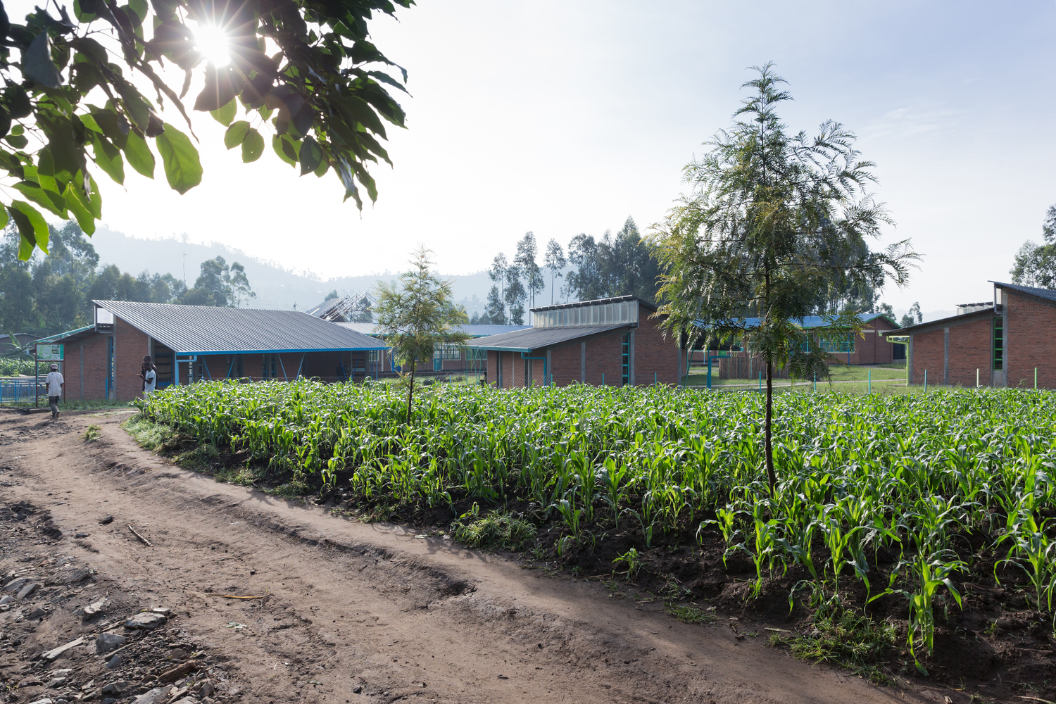 Mubuga primary school