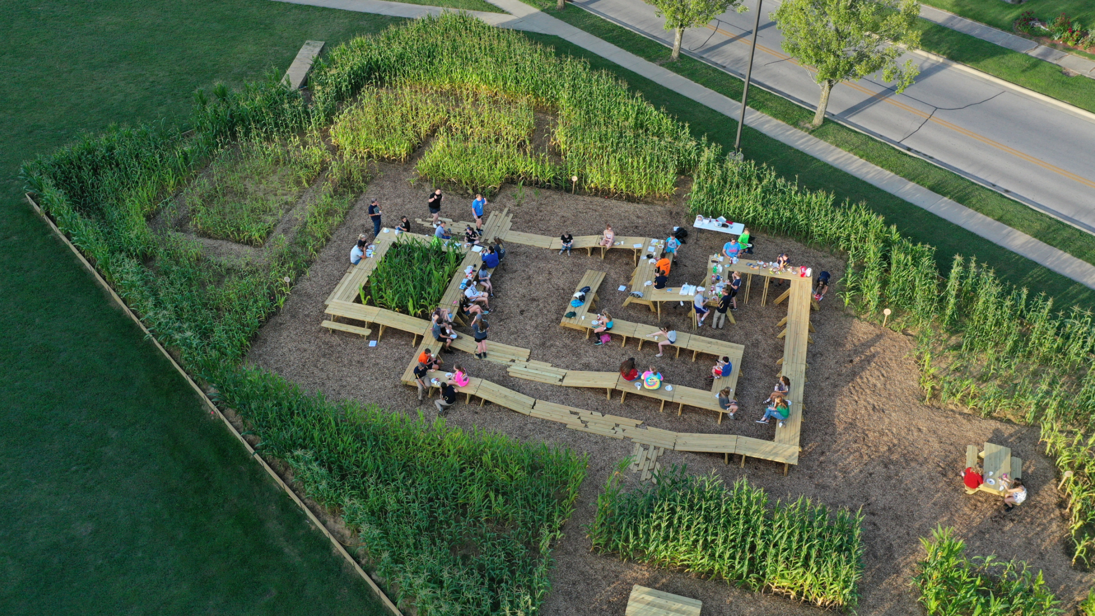 An arial view of the Corn / Meal installation