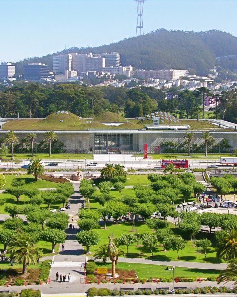 The California Academy of Sciences