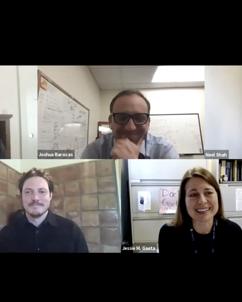 Screen-grab virtual roundtable