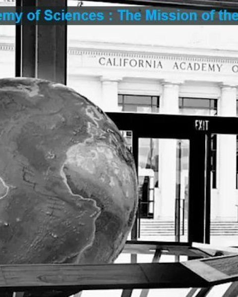 California Academy of Sciences