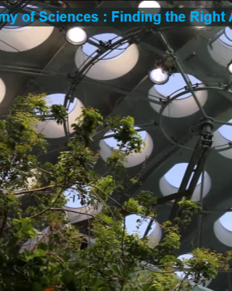 California Academy of Sciences