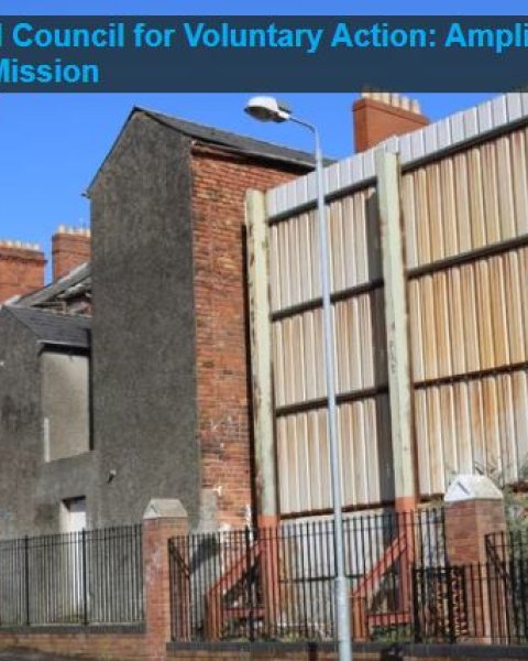Northern Ireland Council for Voluntary Action