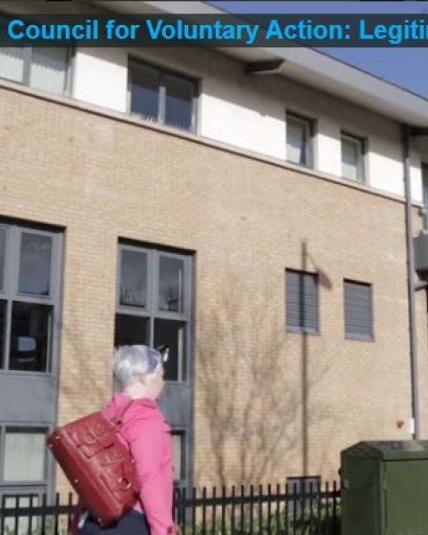Northern Ireland Council for Voluntary Action