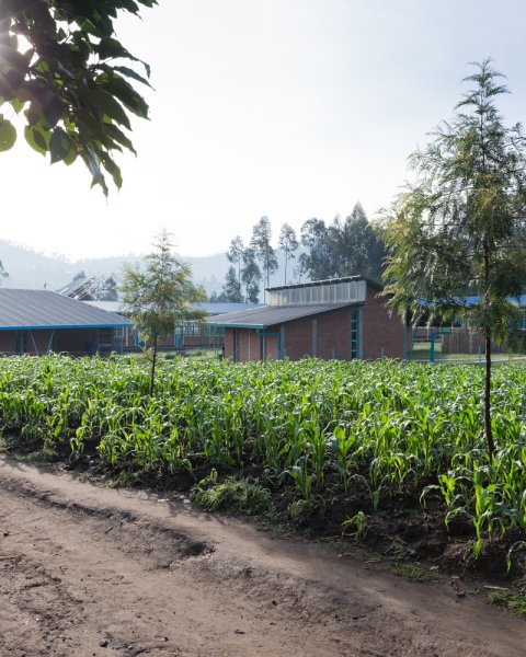 Mubuga primary school