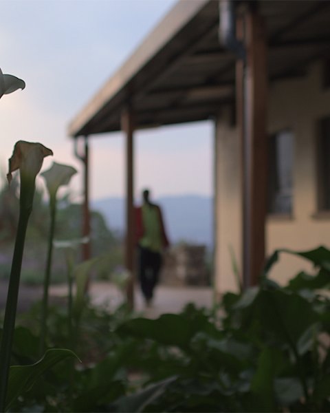 Beyond the Building - Film Campaign, Landscape Close Up