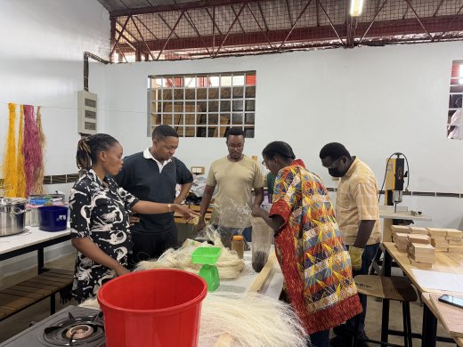 ADC Fellows working with fibers and dyes in the MASS Lab.