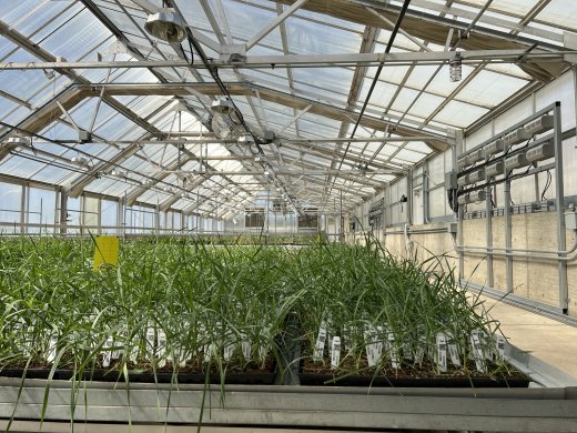 Land Institute