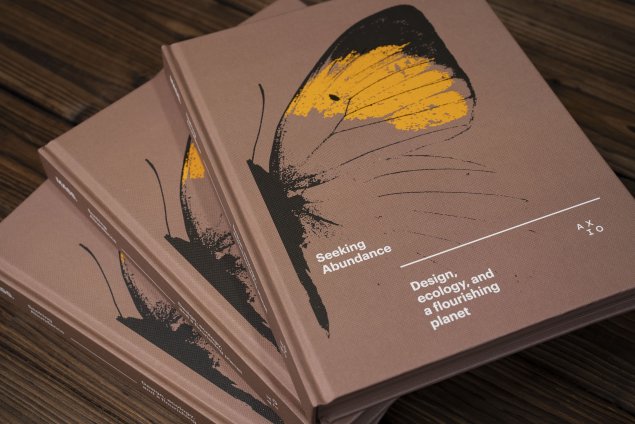 Seeking Abundance Book cover