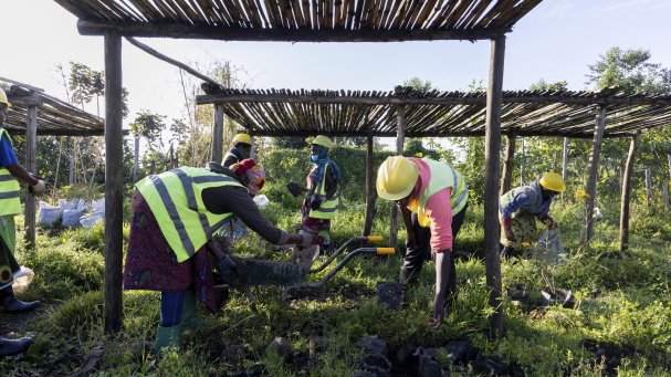 Ellen DeGeneres Campus of the Dian Fossey Gorilla Fund